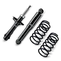 Suspension and Arms